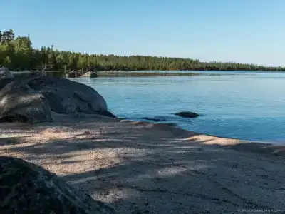 Коккосалма - 81