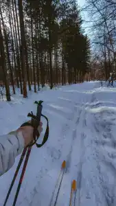 Воронье гнездо - 26
