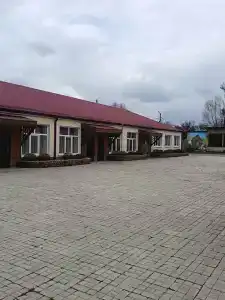 Золотая Рыбка - 13