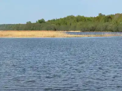 Рутавечь - 35
