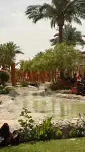 Sunrise Mamlouk Palace Resort - 35