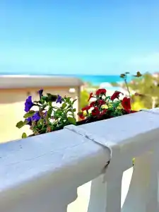 Дом Солнца - 73