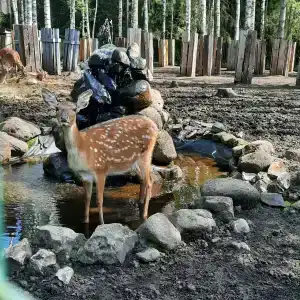 Селигерское заплавье - 84