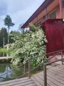 Нара - 4