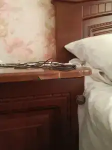 У Лизы - 21