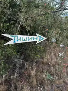 Тишина - 29