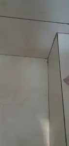 Абрикос Плюс - 47