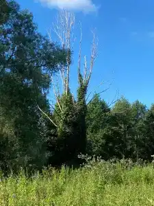 Беловодье - 26