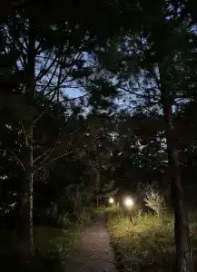 Старый Хутор - 19
