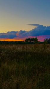 Дом Аиста - 71