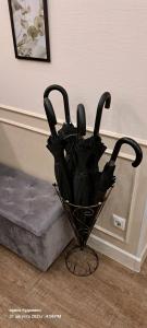 Lotman Boutique - 69