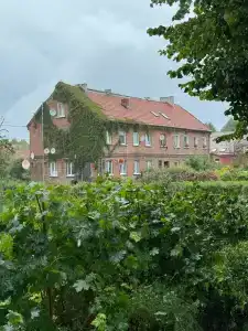 Palmnicken - 19