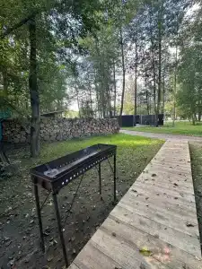 Гуси-Лебеди - 31