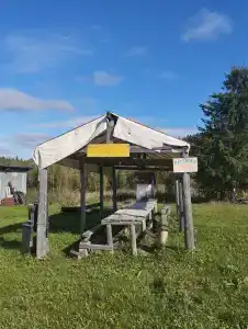 Усть-Койва - 38