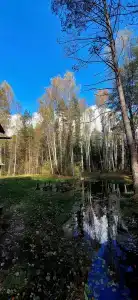 Пышкин луг - 19