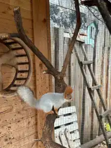 Отдыхаево - 29
