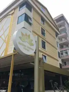 Golden Deluxe - 2