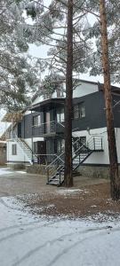 ДоММельяновых - 37