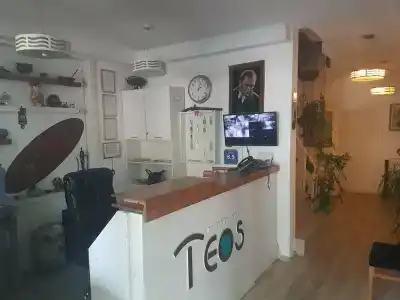 Teos - 16