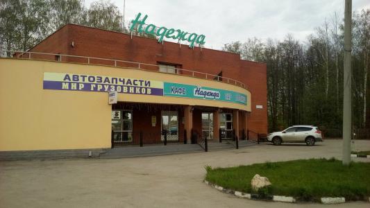 Надежда - 1