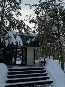 Лесная поляна - 16