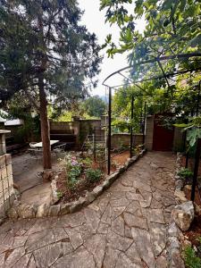 Магнолия - 7