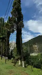 La Casa - 14