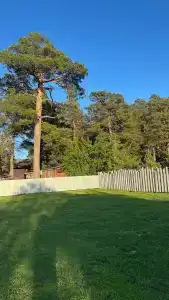 Белый Дракон - 5