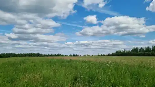 Благодать - 2