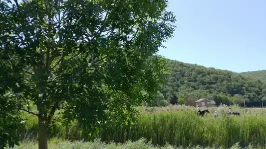 Эколоджия - 91