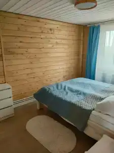 Dмитриевский - 61