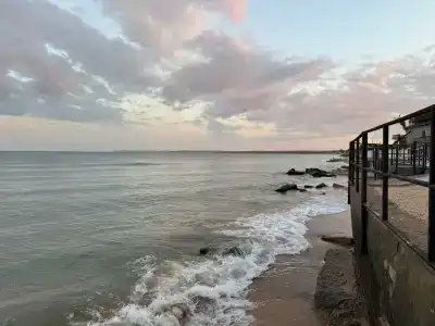 Жемчужный - 73