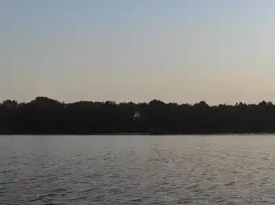Селява - 11