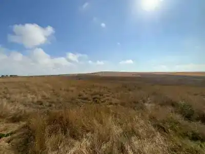 Глэмпинг 2 Моря - 58