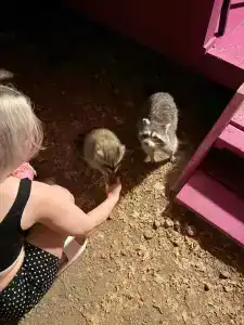 Эколоджия - 84