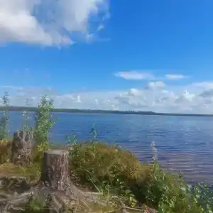 Малые Чертаны - 29
