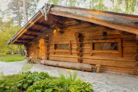 Берендеев лес - 6