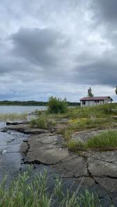 Onegowelcome.ru - 35
