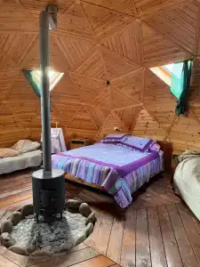 Приют Дара - 28