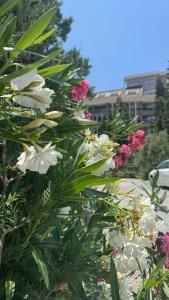 Sunmelia Beach Resort & Spa-All Inclusive - 47
