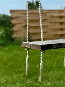 Пенеснарь - 26