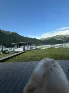 Altay dream house - 31
