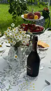 Сирин дом - 97