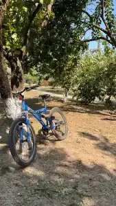 Азов Бриз - 41