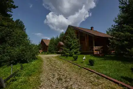 Богослово - 74