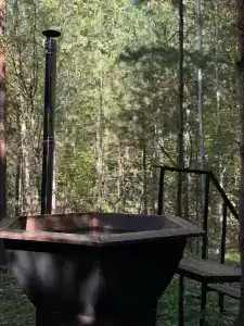 Сосны. Пространствие - 30