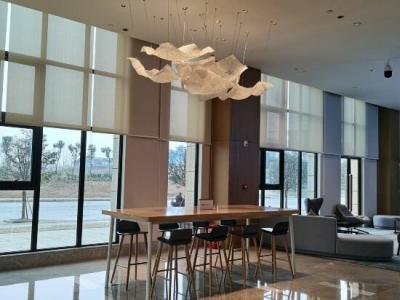 Holiday Inn Express Chengdu Longquanyi North, An Ihg - 11