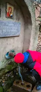 В Лес Афрейм - 19
