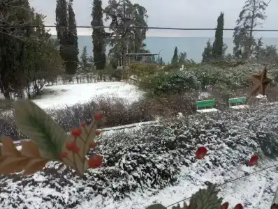 Пансионат Алмаз - 26