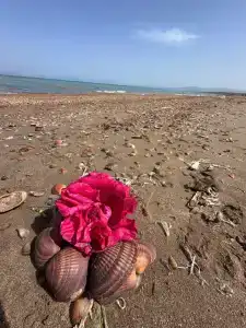 Электра Холидей - 93